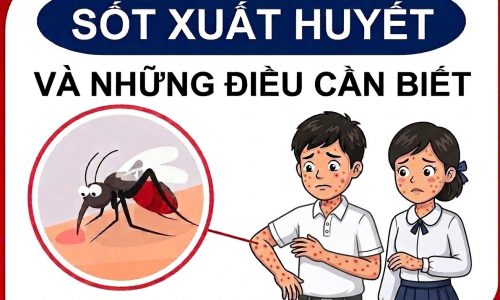 z7673285980451_c3f9cfc5a06cdb3f4773e48b79905378